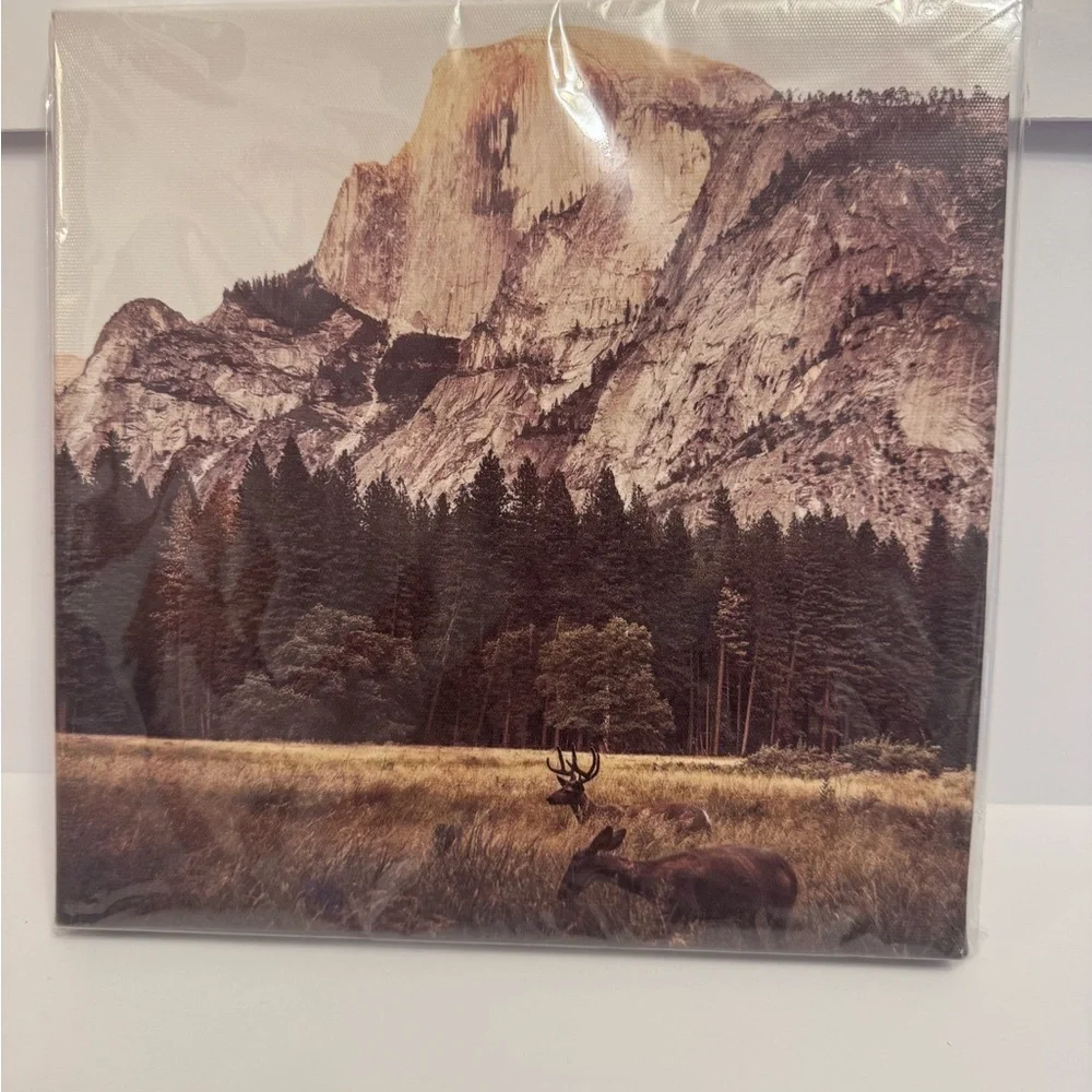 Scenic Mountain Wall Art in Brown and Green
